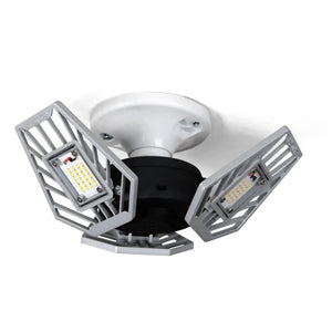 TRiLIGHT V2
